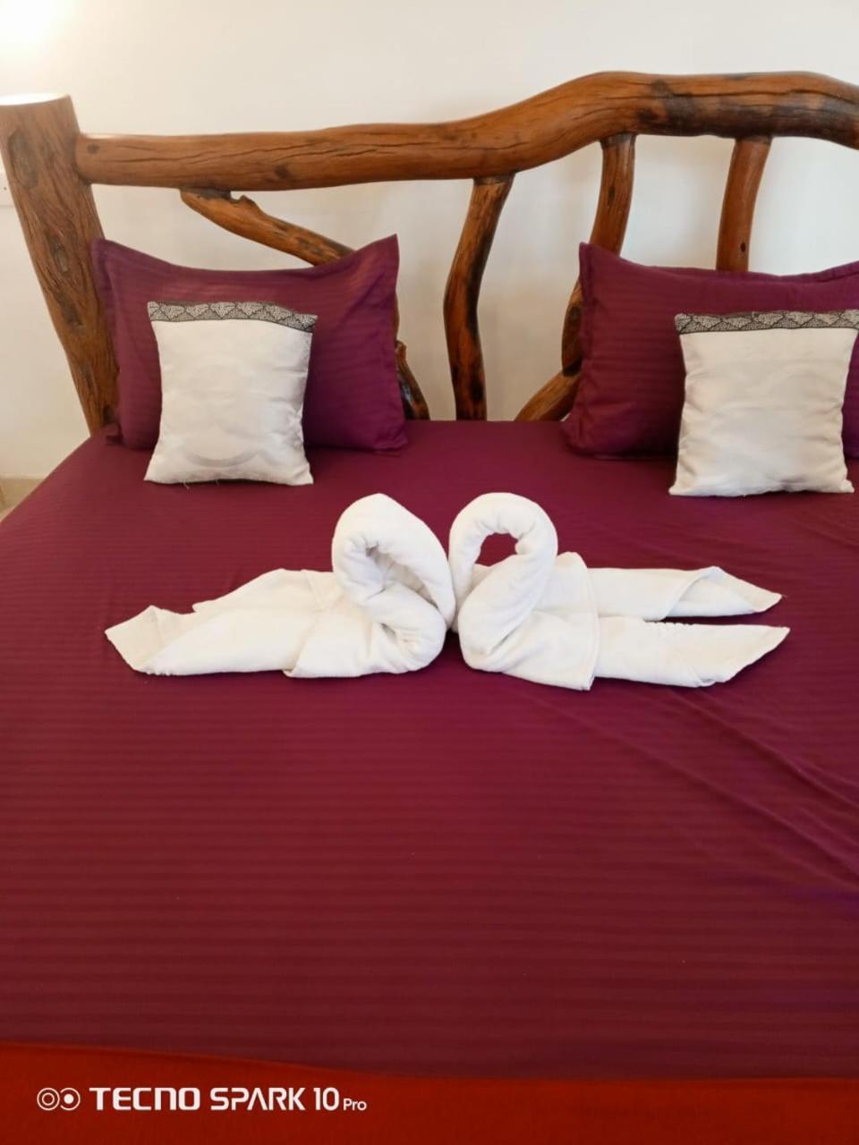 Ayurvedic Lanka Wellness Hotel Moragaswewa Extérieur photo